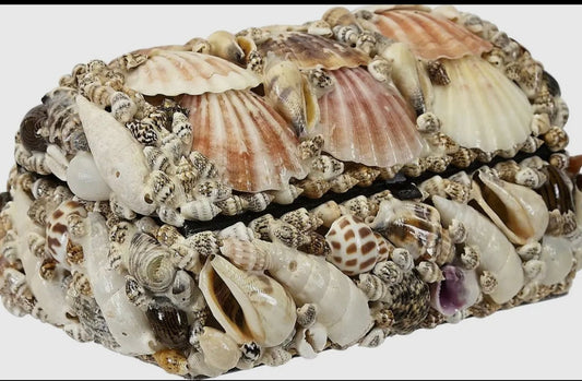 NATURAL SEASHELL TREASURE BOX
