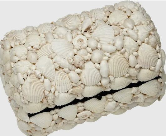 WHITE SHELL TREASURE BOX