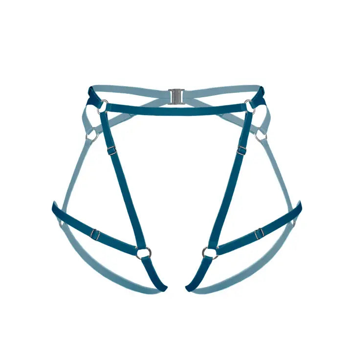Blue harness