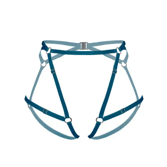 Blue harness